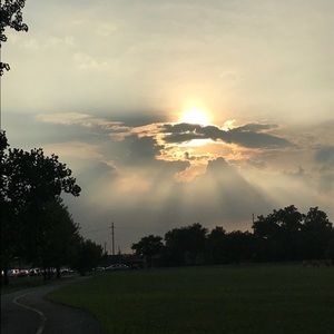 Meet your Posher, Paulette